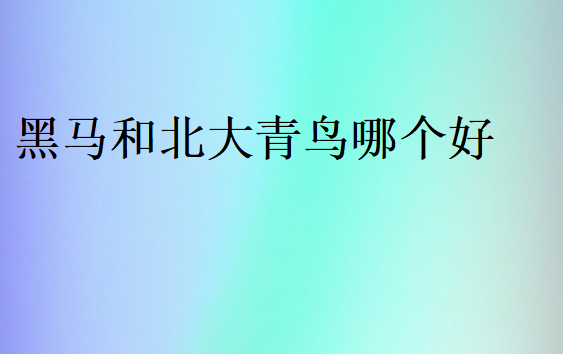 黑馬和北大青鳥哪個(gè)好