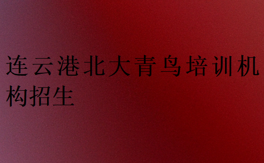 連云港北大青鳥培訓機構招生