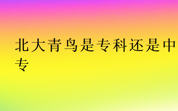 北大青鳥是專科還是中專