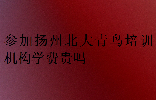 參加揚(yáng)州北大青鳥培訓(xùn)機(jī)構(gòu)學(xué)費(fèi)貴嗎