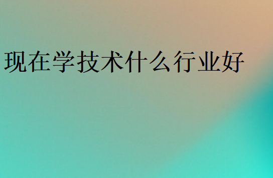 學(xué)什么技術(shù)賺錢