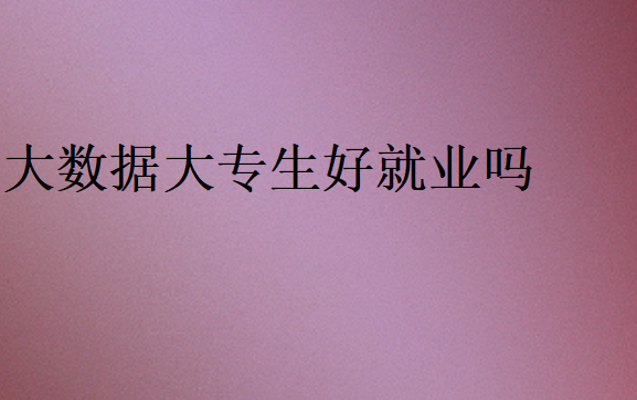 大數(shù)據(jù)大專(zhuān)生好就業(yè)嗎